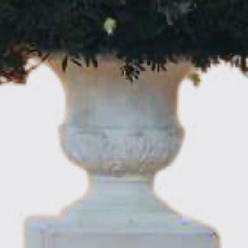 Vazos